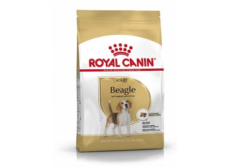 royal-canin-beagle